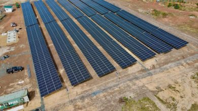 Photo of Solar power leads energy transition pathway amidst Guyana’s oil boom