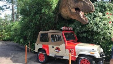 Photo of MovieTowne to celebrate 20th anniversary with dinosaur theme park