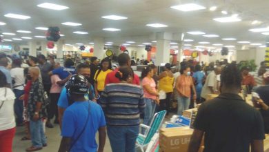 Photo of ‘Black Friday’ deal hunters overrun Courts