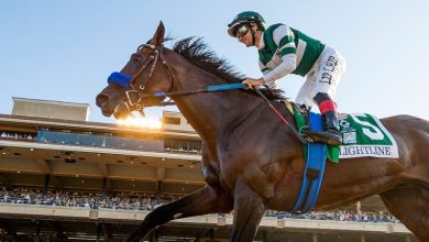 Photo of Flightline dazzles again to win Breeders’ Cup Classic