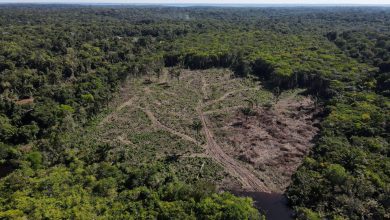 Photo of U.S. aims to sanction Brazil deforesters, adding bite to climate fight