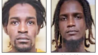 Photo of Brothers charged with murder of land surveyor