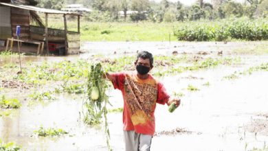 Photo of ‘Heavy rains’ warning trigger regional food security jitters