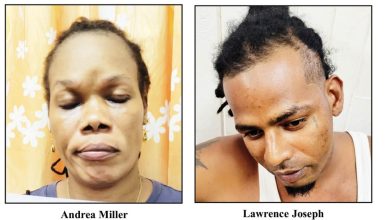 Photo of Businesspersons charged over drugs, ammo