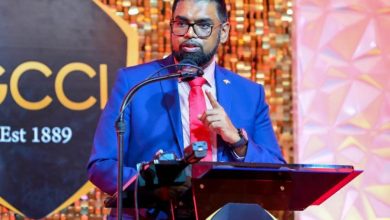 Photo of Ali challenges Diaspora to invest in Guyana – -GCCI president calls for scrapping excise tax on new vehicles