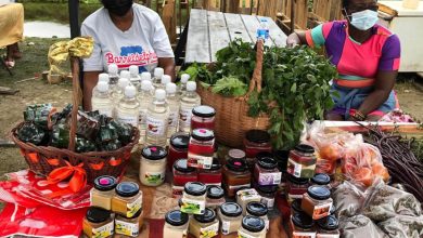 Photo of We’re back! Mocha Farmers’ Market returns to the road on Sunday