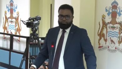 Photo of Gunraj details Lowenfield attempts to finalise results using wrong vote counts – -says CEO defended use of spreadsheets for Region 4 tabulation as ‘expedient’