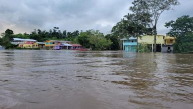 Photo of Six regions flooded as a result of heavy rain – CDC – -Cuyuni/Mazaruni worst hit