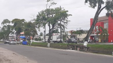 Photo of Gov’t studying road slippages at Thomas Lands, Irving St – Edghill