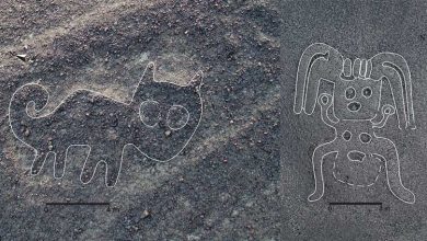 Photo of Researchers discover over 100 new ancient designs in Peru’s Nazca lines