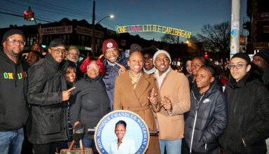 Photo of One Love Little Caribbean holiday lights unveiled at Church & Utica intersection