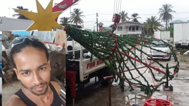 Photo of Good Hope man electrocuted while putting up Christmas tree