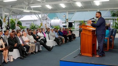 Photo of Big expansion in drainage  pumps on the cards – President – -in response to question on storm water