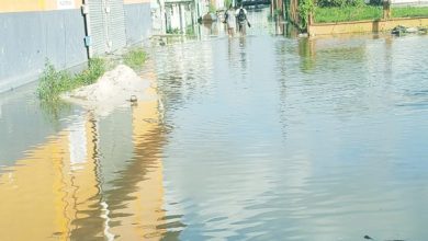 Photo of Shoddy koker work floods Charlestown, Albouystown – -Mustapha condemns contractor