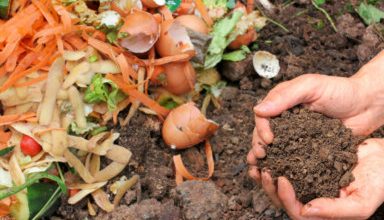 Photo of Op-Ed | Composting for all