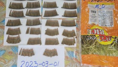 Photo of Suspected AK47 ammunition found at Kara Kara Creek Linden