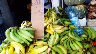 Photo of Plantain prices remain stiff – -middlemen, fungus blamed