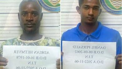Photo of Two jailed for 40 months each over large ganja haul
