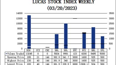 Photo of LUCAS STOCK INDEX (LSI)