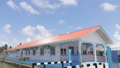 Photo of First comprehensive diabetes care centre opened at Lusignan – -around 50,000 may have disease here
