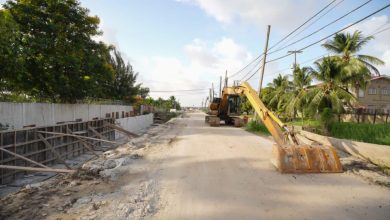 Photo of President urges contractors to speed up work on ‘mid-town’ highway