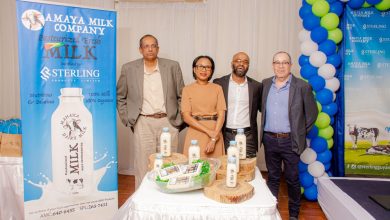 Photo of Sterling Products to be distributor for Amaya Milk