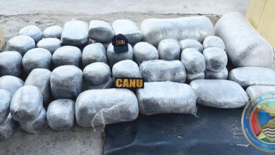 Photo of CANU unearths huge haul of cannabis at Number 65 Village