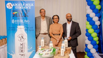 Photo of Up and running: Amaya’s Pasteurized Milk is now in the Supermarkets
