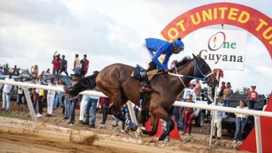 Photo of Over $10M to be won at Port Mourant Turf Meet – – Alado to make debut