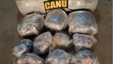 Photo of CANU finds 127 lbs ganja in Crabwood Creek operation