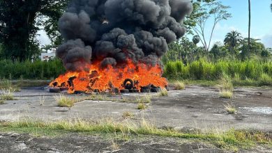 Photo of CANU destroys over 1,000 kg cannabis