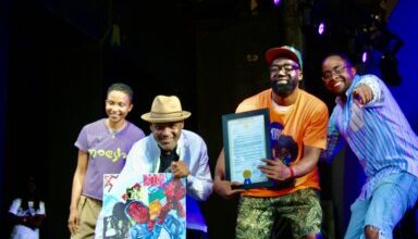 Photo of Senate Resolution honors BRIC at 50th Hip-Hop  commemoration in Prospect Park