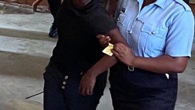 Photo of Woman remanded over Linden bus park killing