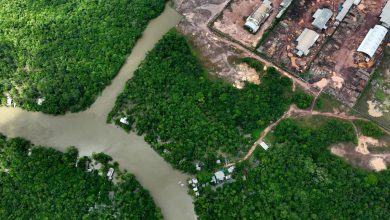 Photo of Amazon nations summit faces fault lines on oil, deforestation