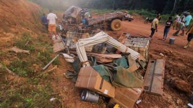 Photo of Driver dies after lorry topples on Lion Mountain Trail