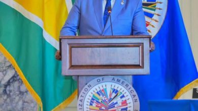 Photo of Country grateful for OAS observers in preserving democracy – President