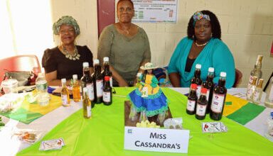 Photo of Club St. Vincent hosts very successful, premier exposition