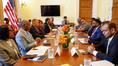 Photo of Leading US House Democrat Jeffries stresses inclusivity, political dialogue – -in meeting with President Ali
