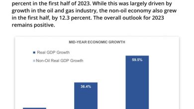 Photo of Real GDP grew by an estimated 59.5% by mid-year – President – -non-oil economy expanded by 12.3%