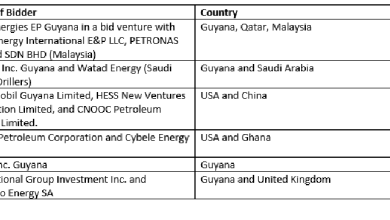 Photo of Exxon among six companies bidding for offshore blocks