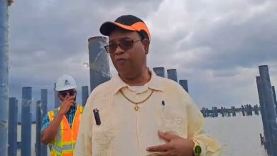 Photo of New Demerara Harbour Bridge Project 27% completed – Edghill