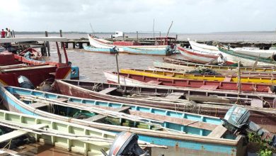 Photo of Mustapha says he’s disappointed in stalled fishing licences – Fishermen call for the creation of new markets