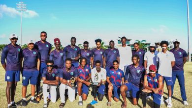 Photo of Wickham, Bishop ensure series win  for CWI Academy