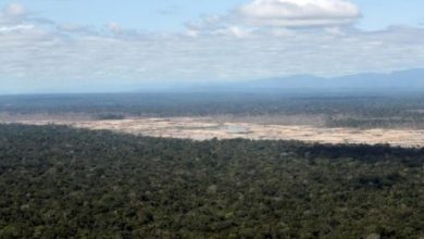 Photo of Palm oil supplier to Nestle, Kellogg’s linked to Peru deforestation in report