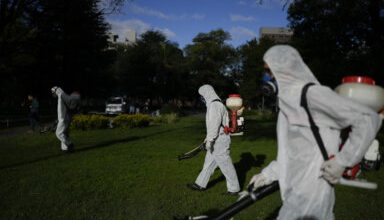 Photo of Dengue is sweeping through the Americas early this year