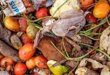 Photo of World squandered over 1 billion meals a day in 2022: UNEP Food waste Report 60%  of waste at  household level – Wasting while we want: