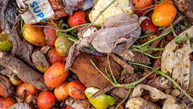 Photo of World squandered over 1 billion meals a day in 2022: UNEP Food waste Report 60%  of waste at  household level – Wasting while we want: