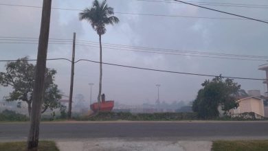Photo of Ministry issues air quality warning over  Suriname forest fire
