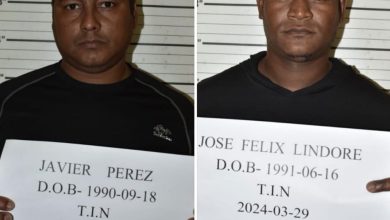 Photo of Two Venezuelans were held over huge cocaine seizure at Vergenoegen