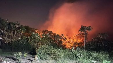 Photo of Wildfires still being combatted in Lethem – GFS